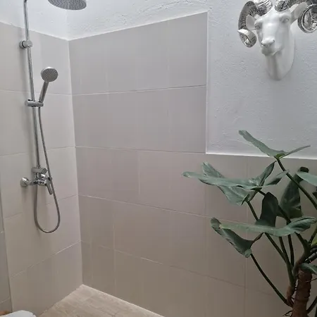 Casa Pitaya Tatil Evi